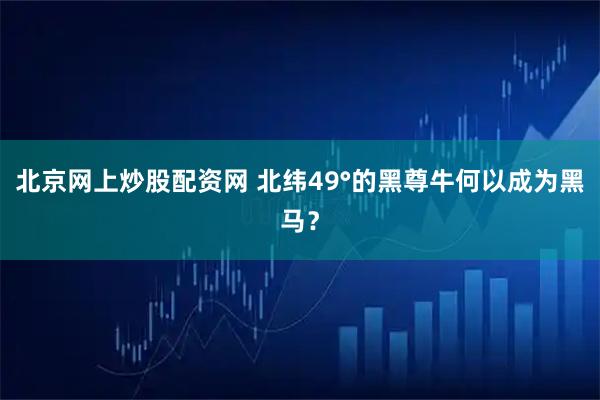 北京网上炒股配资网 北纬49°的黑尊牛何以成为黑马?